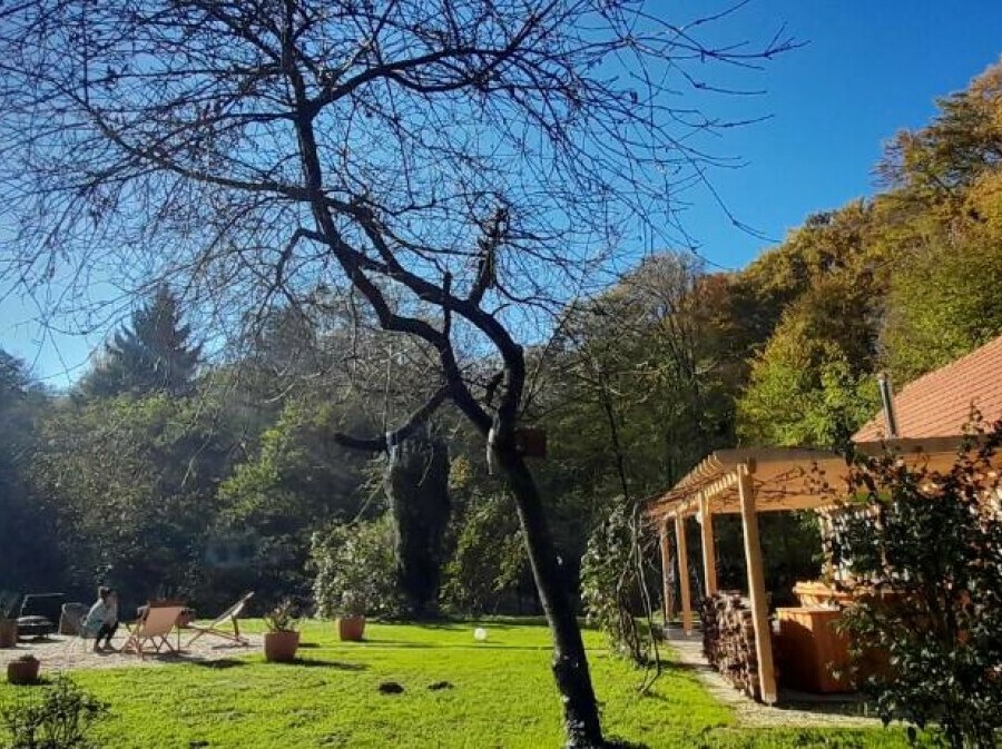 Holiday Home Forest Inn - 14