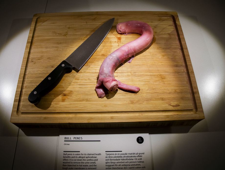 Museum of disgusting foods - 9