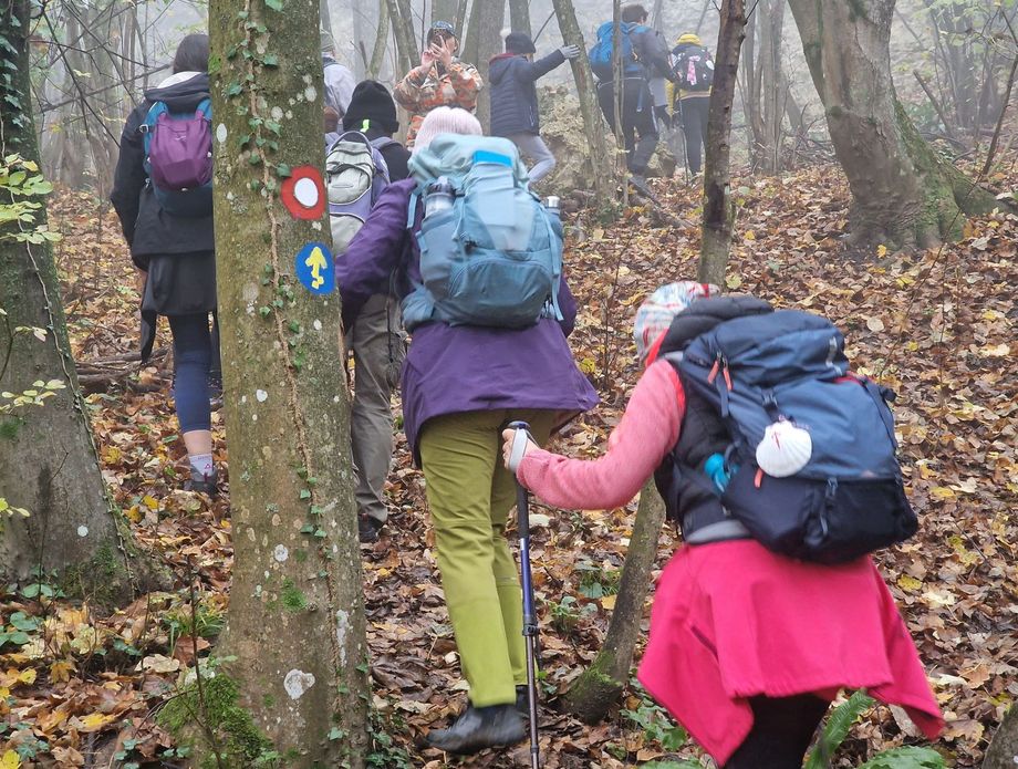 Camino Banovina - 23