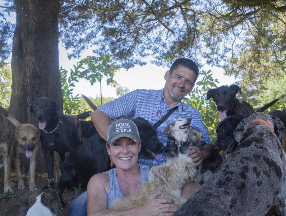 Territorio de Zaguates - 5