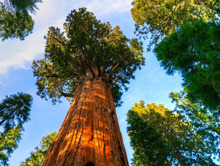 Kviz općeg znanja - 2