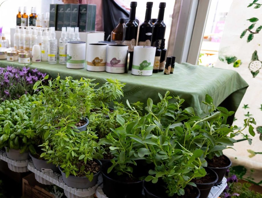 Festival samoniklog bilja - 3