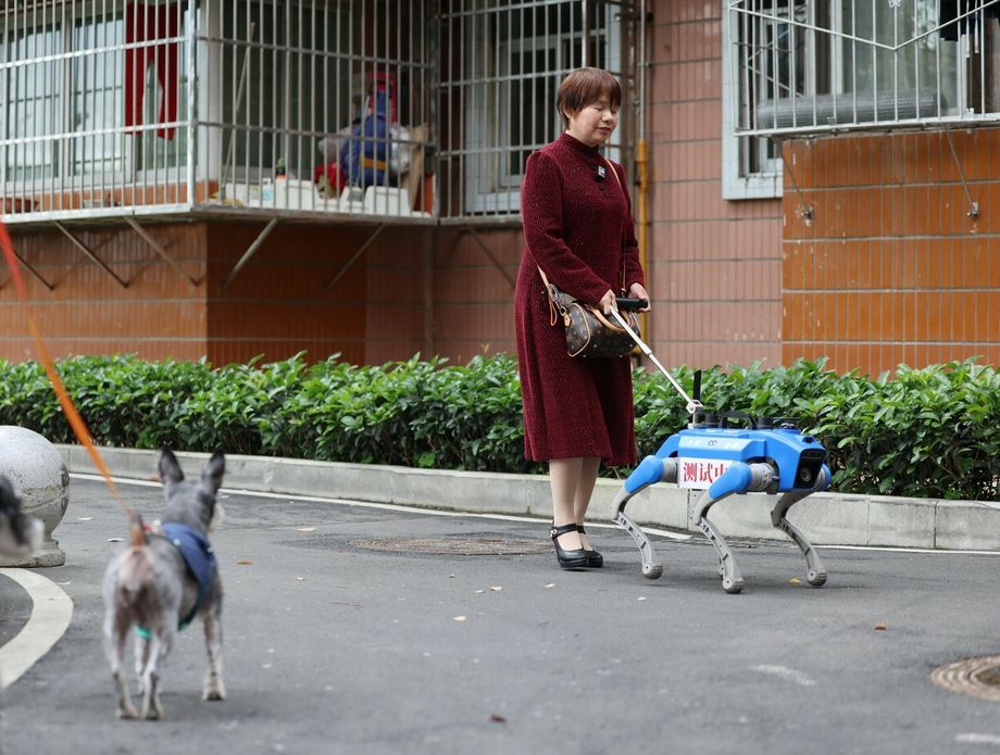 Robopsi za pomoć slabovidnim osobama u Chengduu u Kini - 3