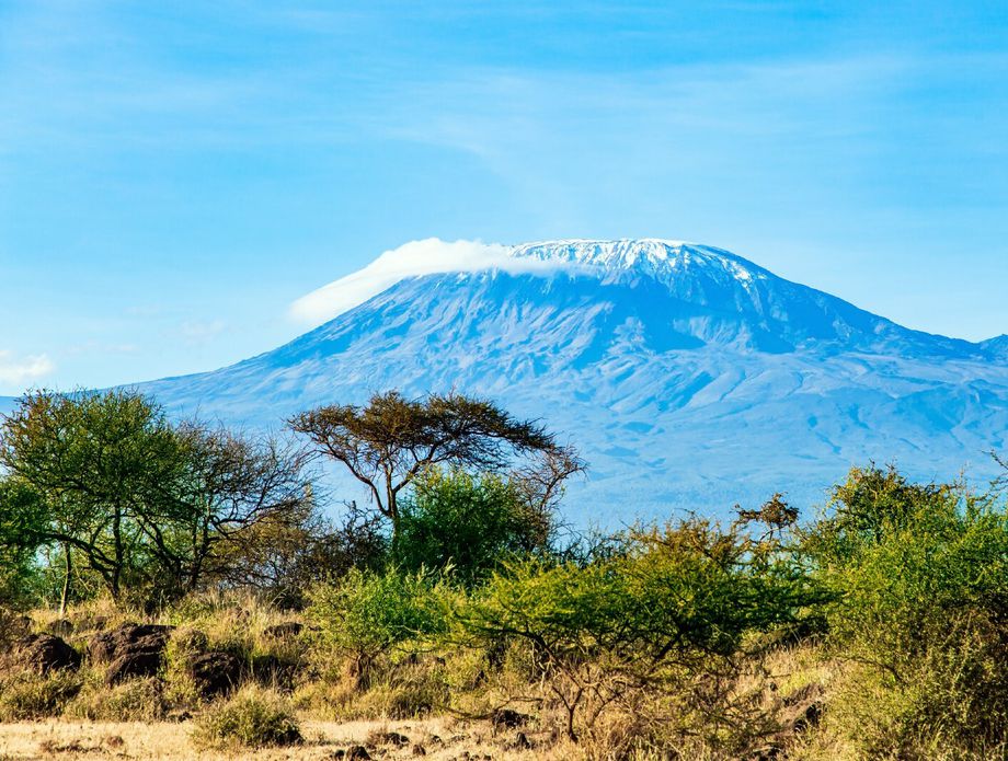 Kilimandžaro - 1