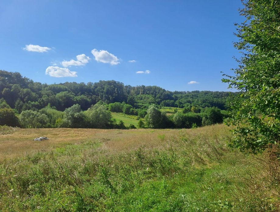 Turopoljska trail utrka Ključić brdo - 1