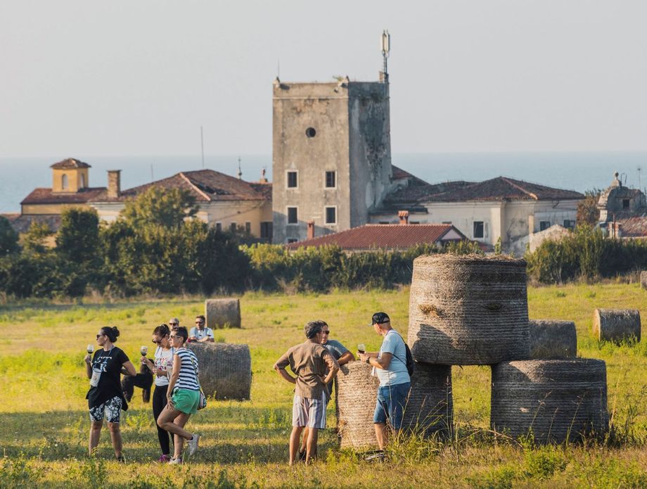 Istria Wine&Walk - 1