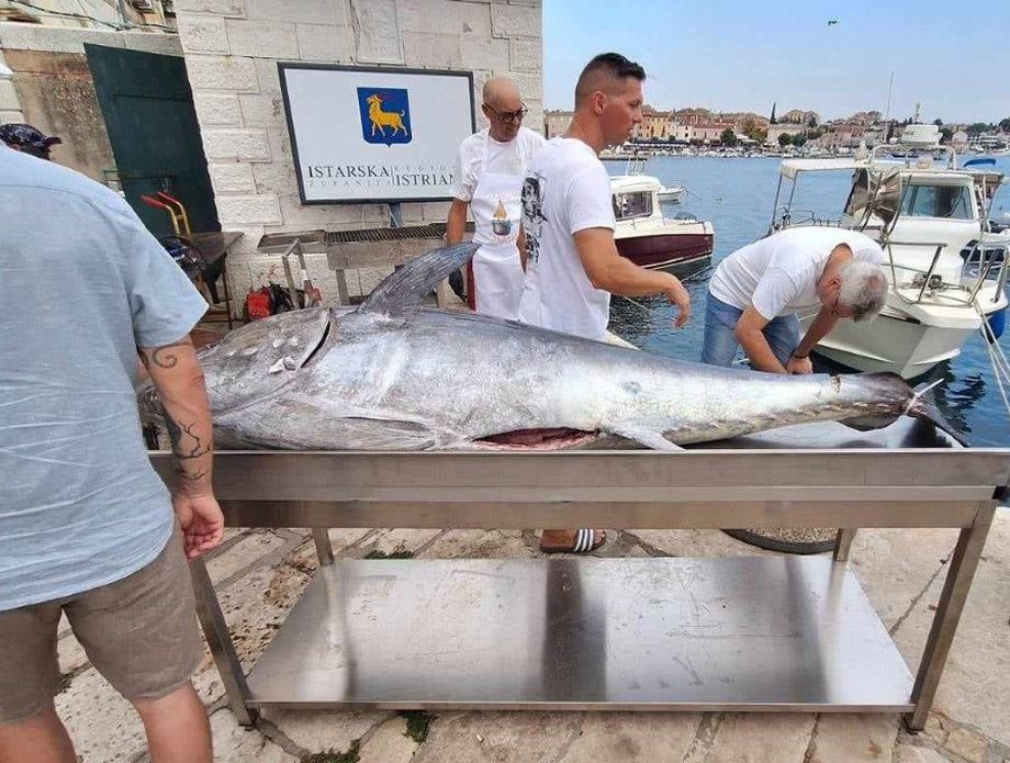 Tuna fest Rovinj - 1