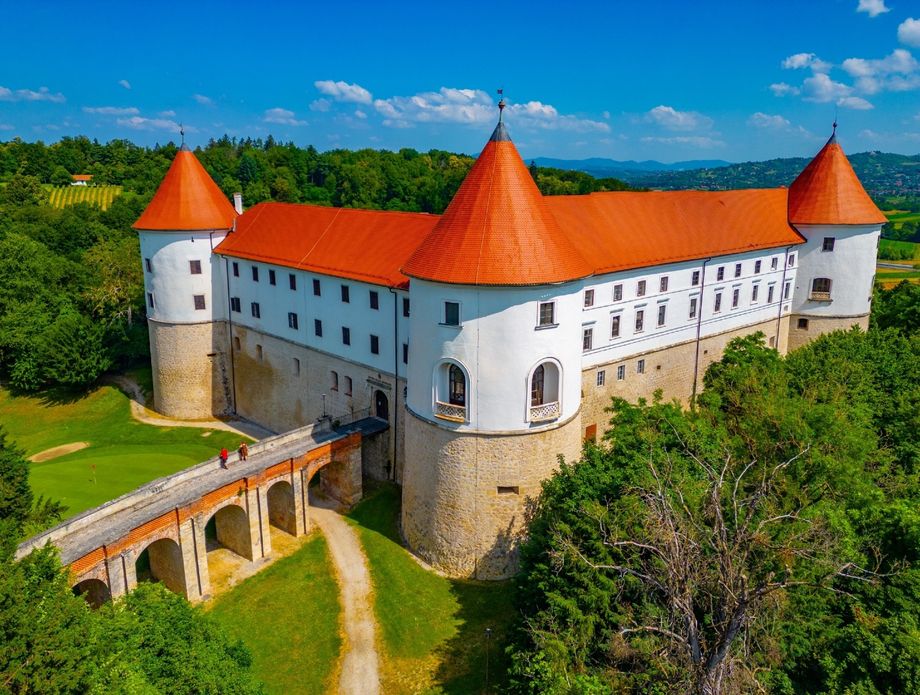 Slovenski dvorci - 1