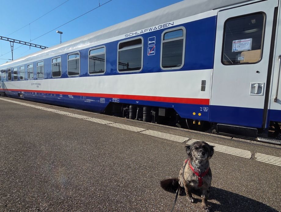 Vlakom s psom u Švicarsku - 8