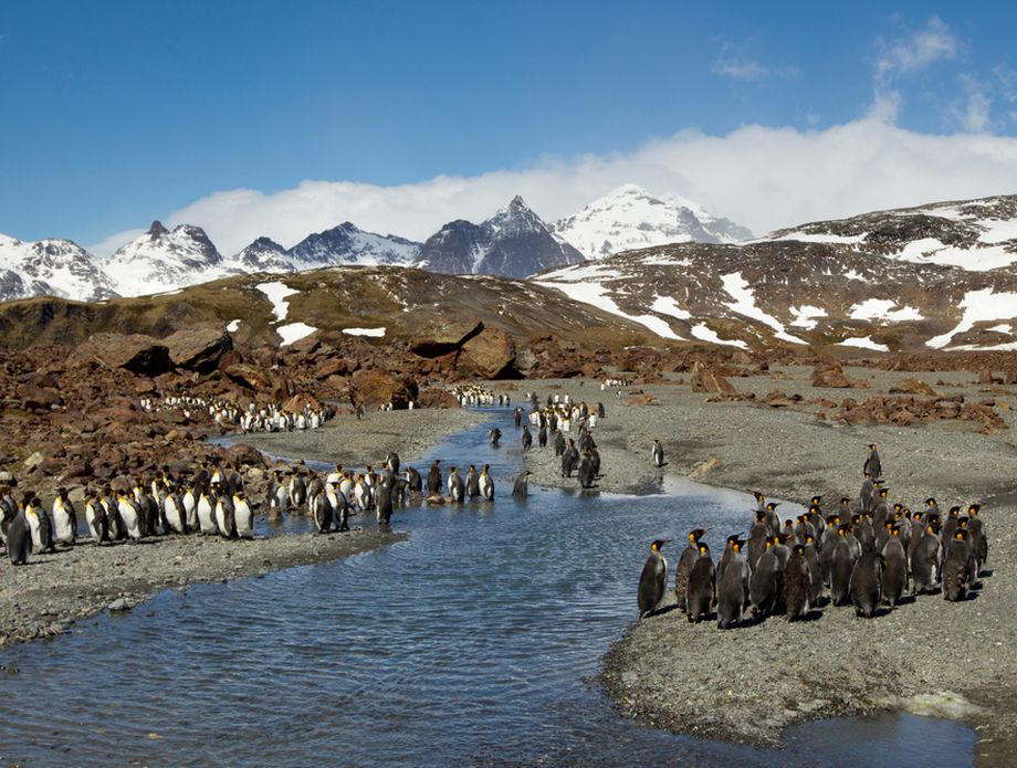 Kerguelen - 1