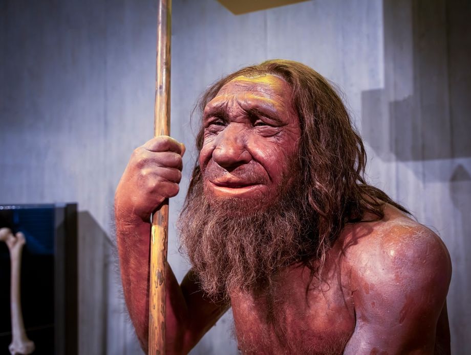 Neandertalci