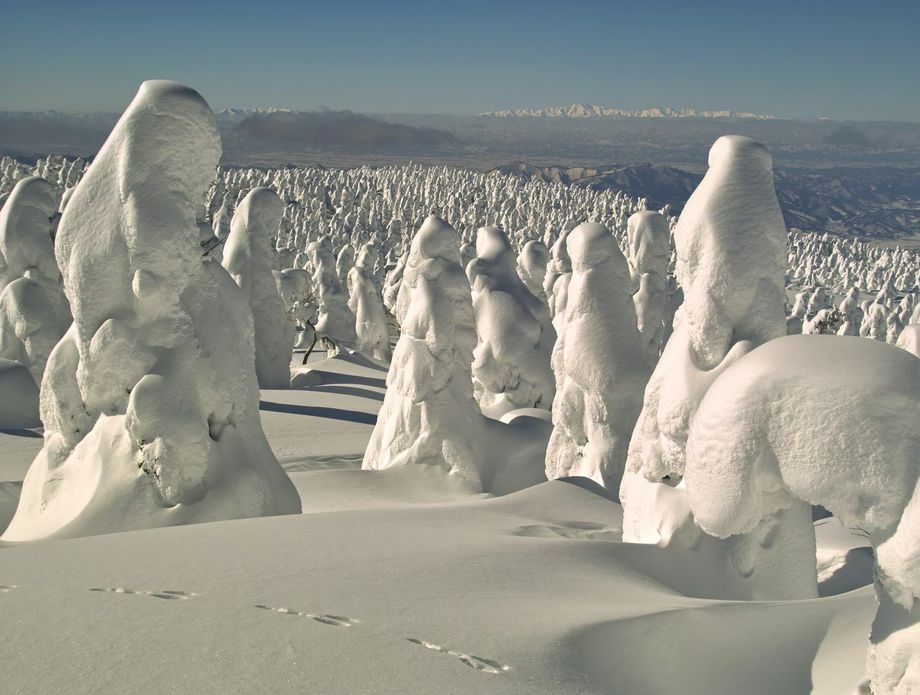 Snježna čudovišta - 7