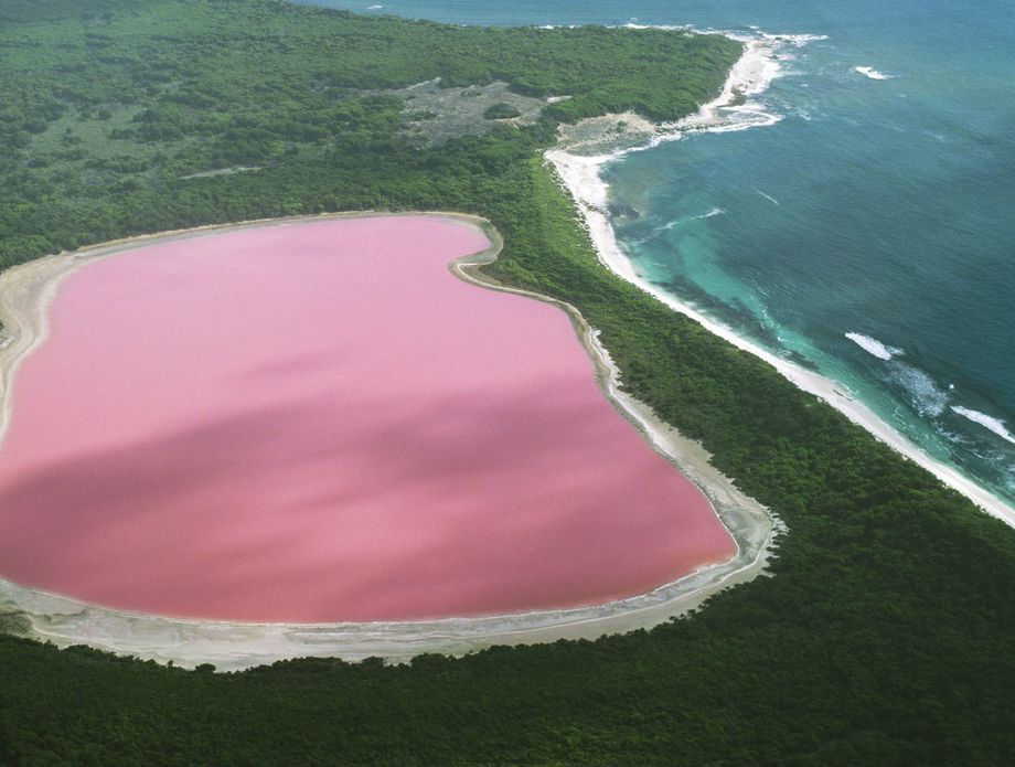 Ružičasto jezero u Australiji - 1