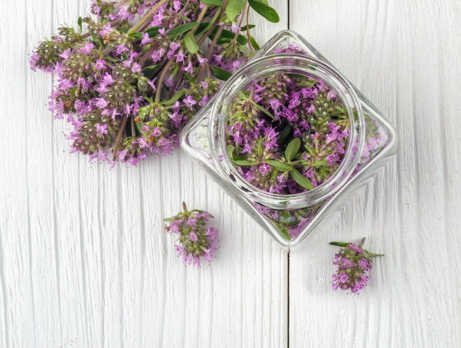 Majčina dušica - 3