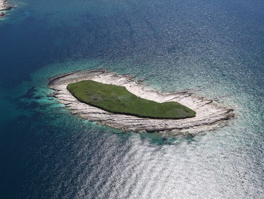 Kviz općeg znanja - 7