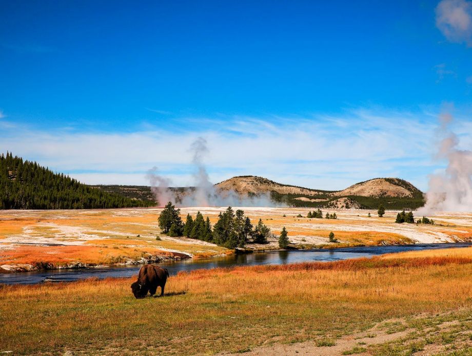 Yellowstone - 8