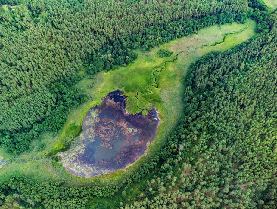 Nacionalni park Dzūkija u Litvi - 1