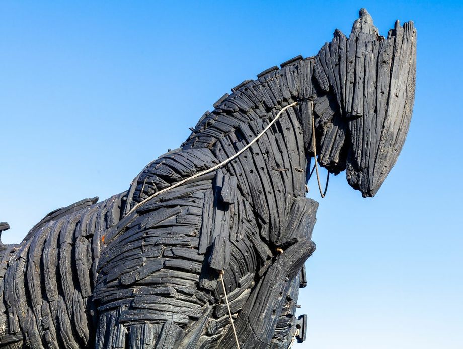 Kviz općeg znanja - 6