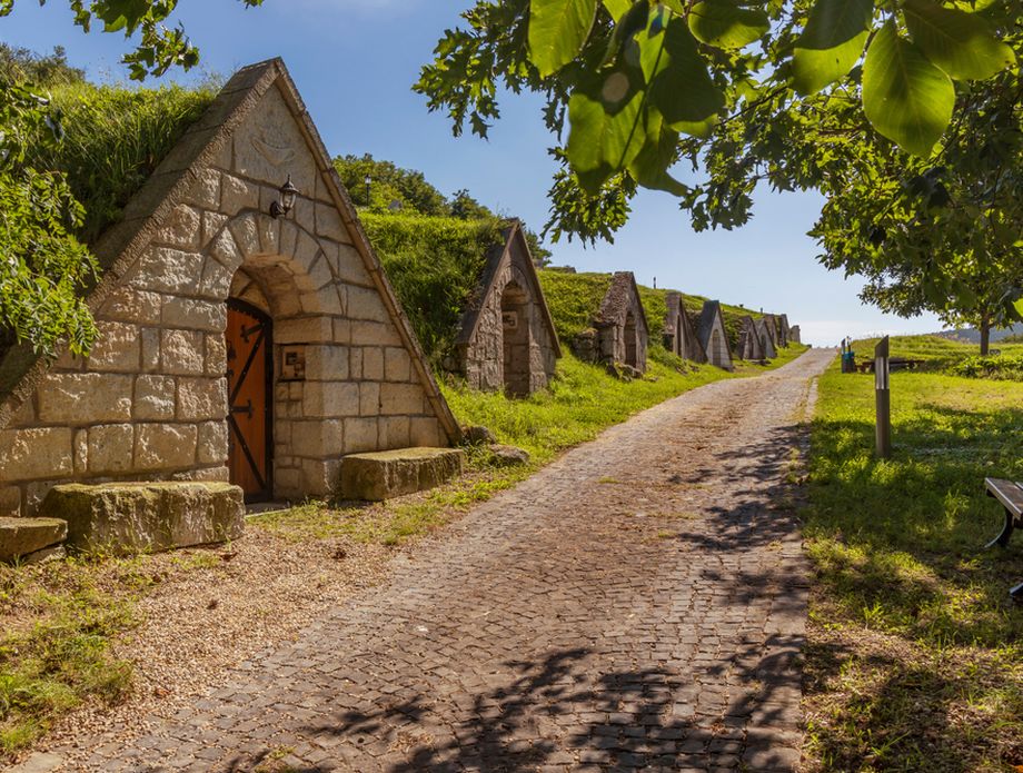 Sárospatak - vinski podrumi