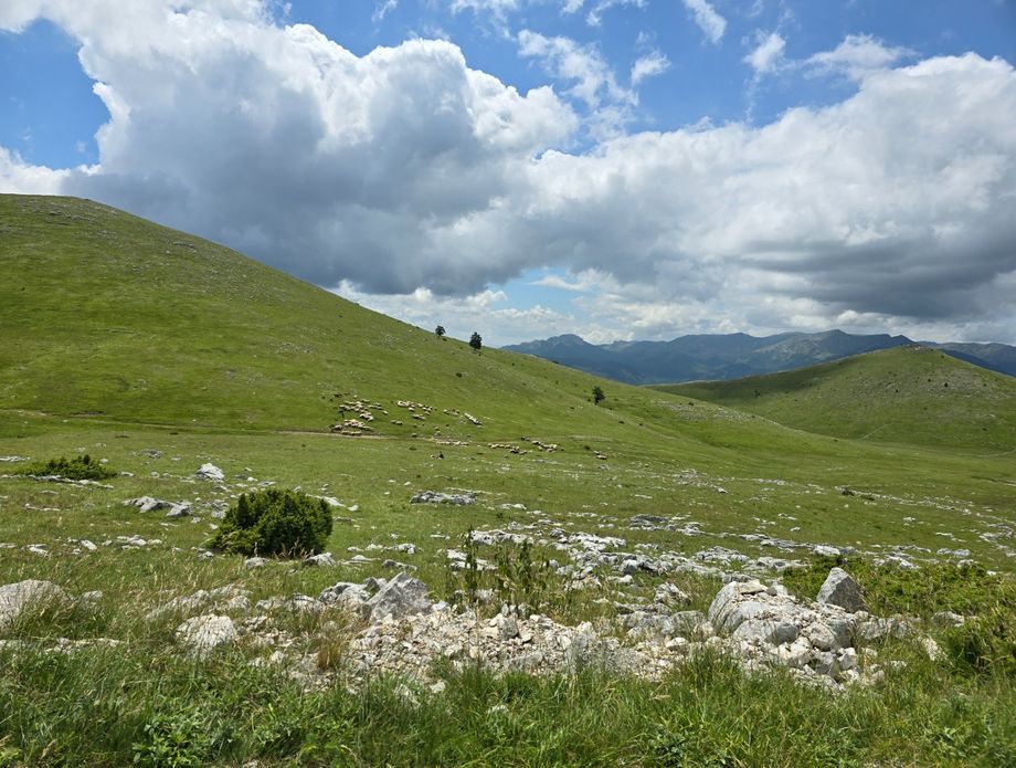 Vikend na Bjelašnici - 36