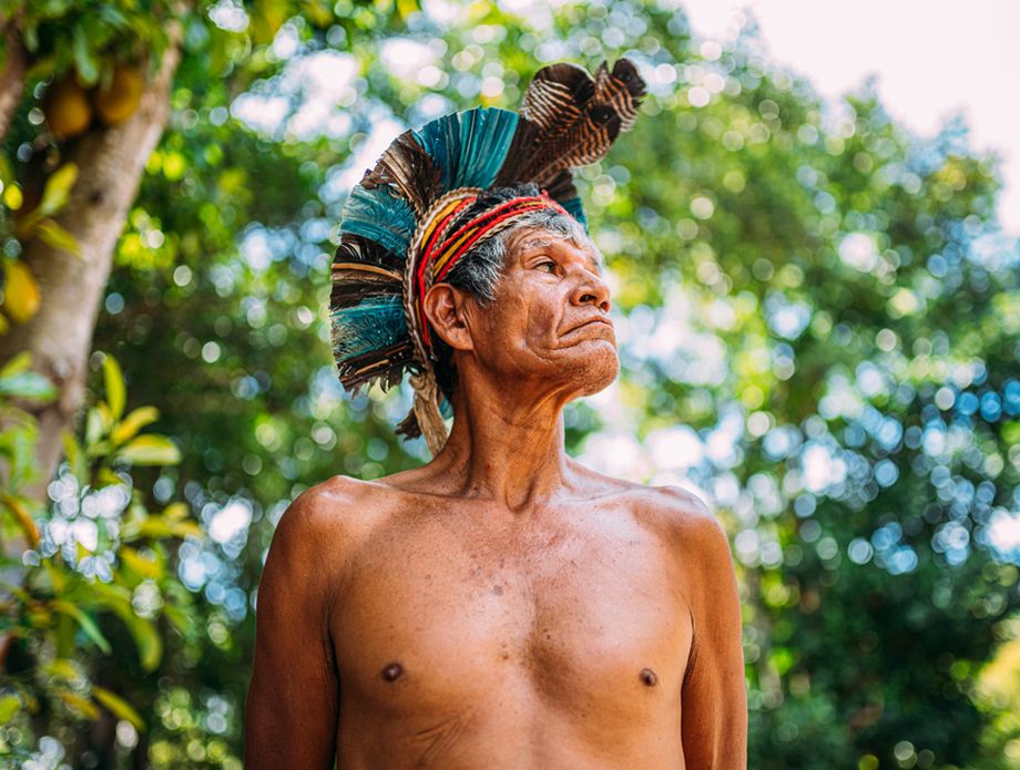 Amazona - 1