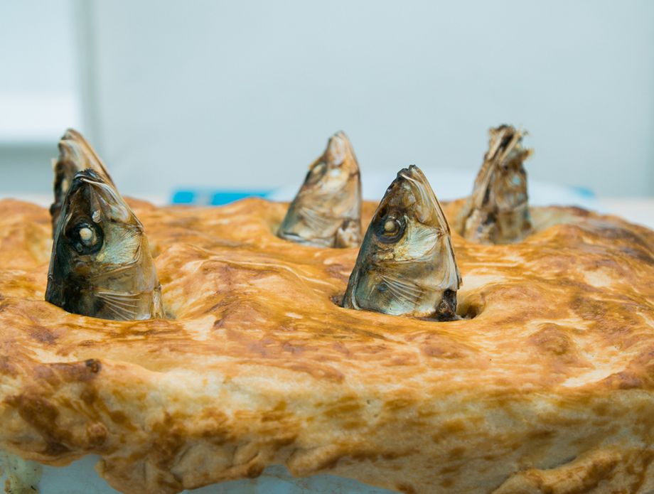 Stargazy