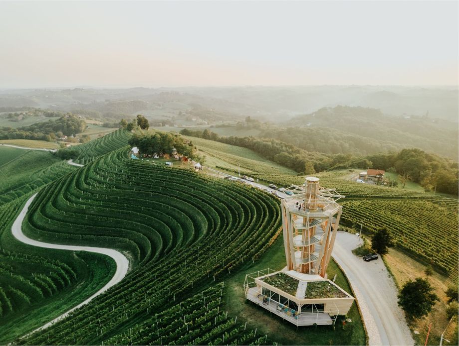 Jazz u vinogradu