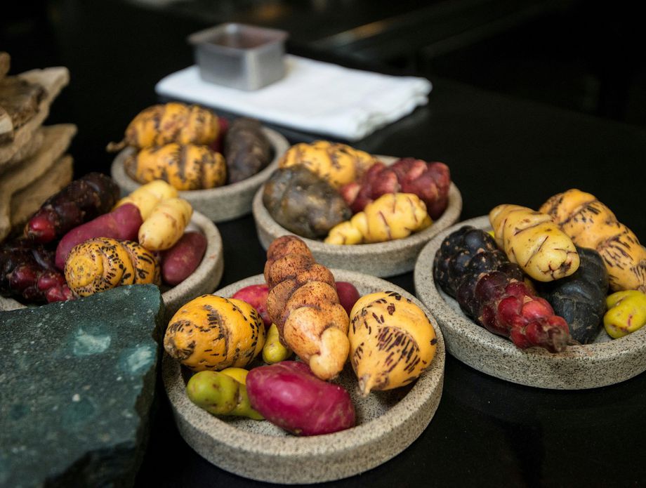 Krumpiri zauzimaju značajnu ulogu u ponudi najboljeg restorana na svijetu - Central u Limi