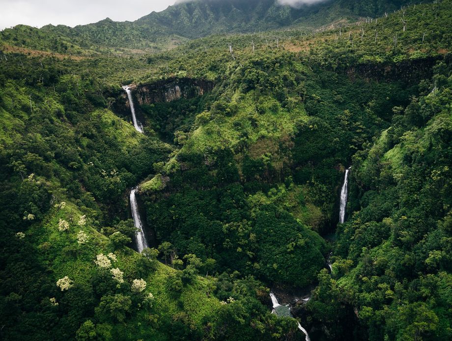 Planina Wai'ale'ale na havajskom otoku Kauai - 1