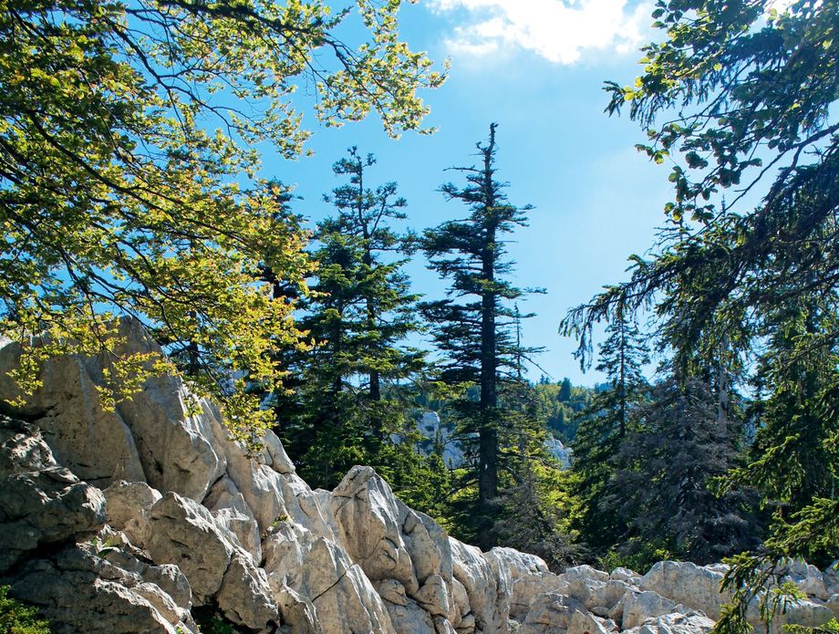Premužićeva staza na Velebitu - 19
