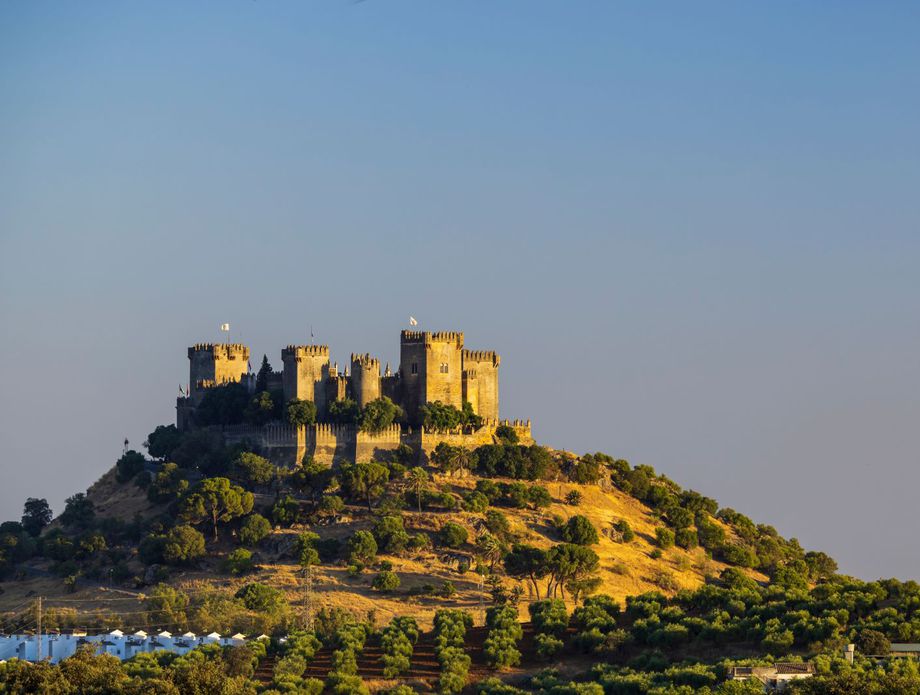 Dvorac Almodóvar u Andaluziji - 4