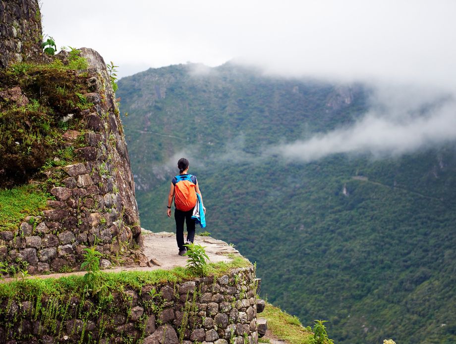 Machu Picchu