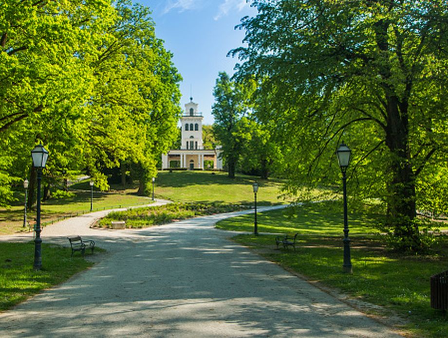 Maksimir