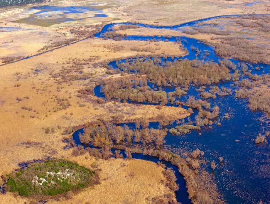 Zima u Hutovom blatu - 5