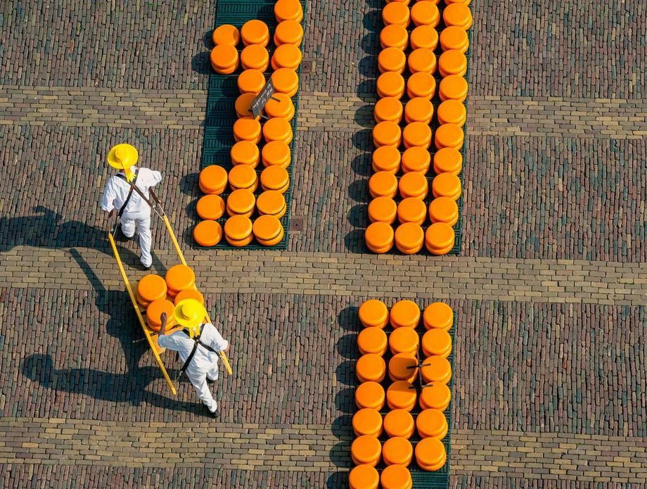 Sajam sira u Alkmaaru - 9