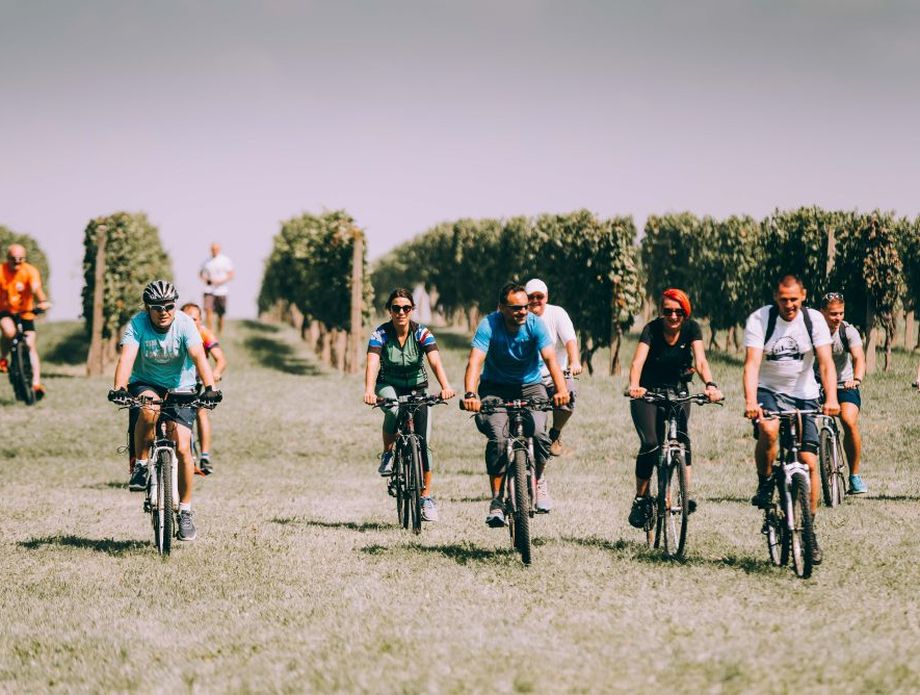 Wine & Bike Tour Erdut