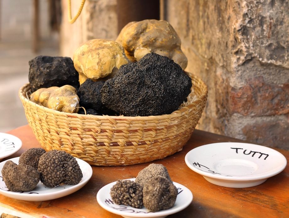 Tartufi