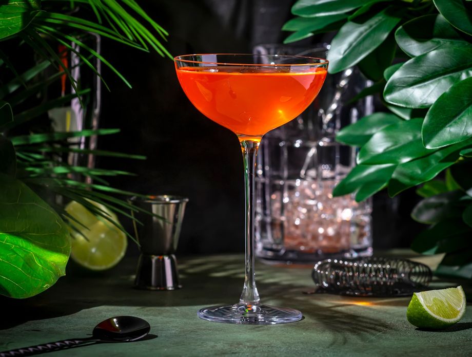 Koktel Goli i slavni (Naked and Famous)