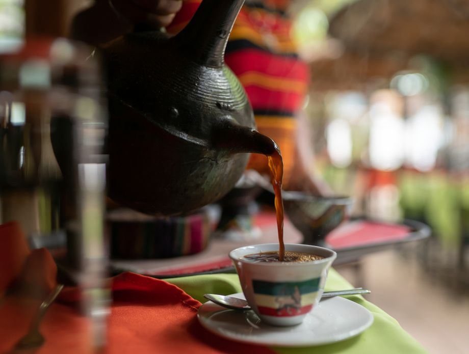 Kava - 1