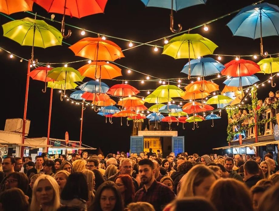 Baš naš festival - 1