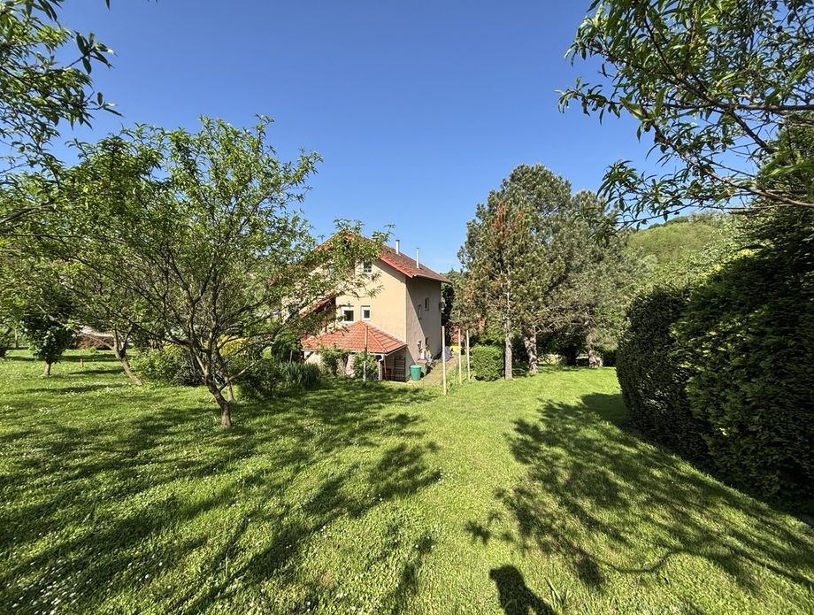 Green Home - 3