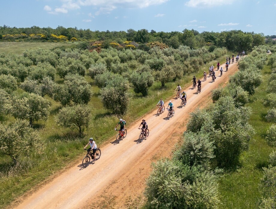 Gourm-E-bike Kaštelir-Labinci - 1