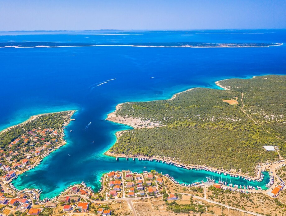 Šimuni
