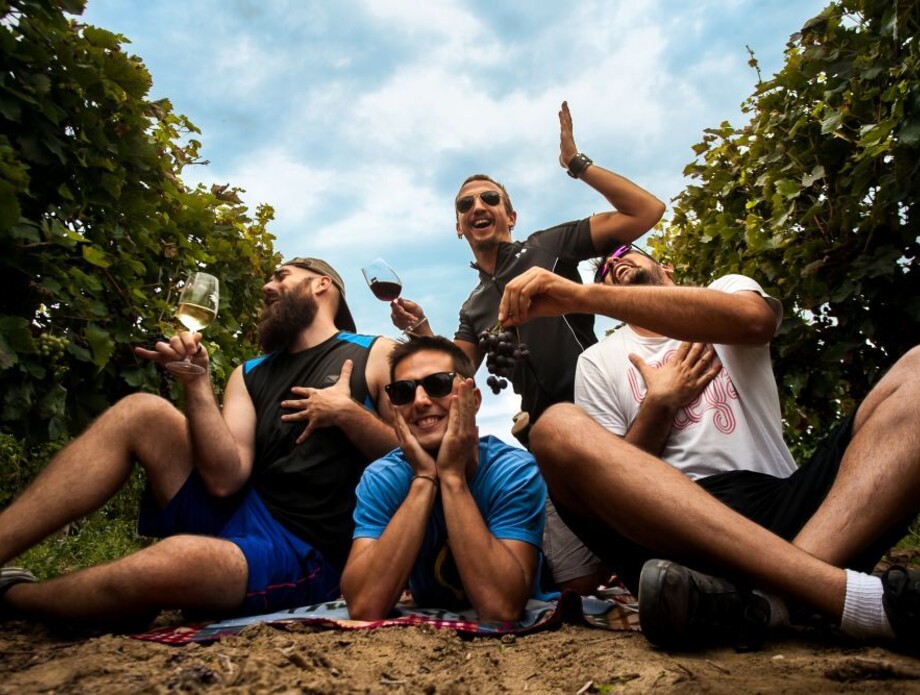 WINE & BIKE TOUR ERDUT