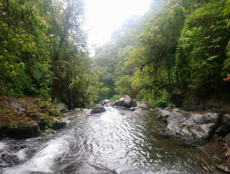 Darien Gap - 2