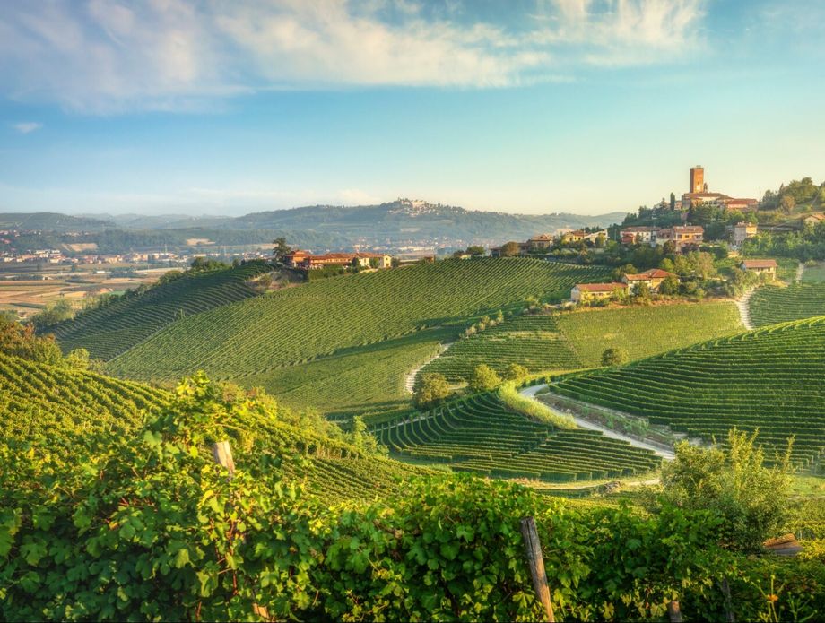 Pijemont je poznata vinorodna regija u Italiji