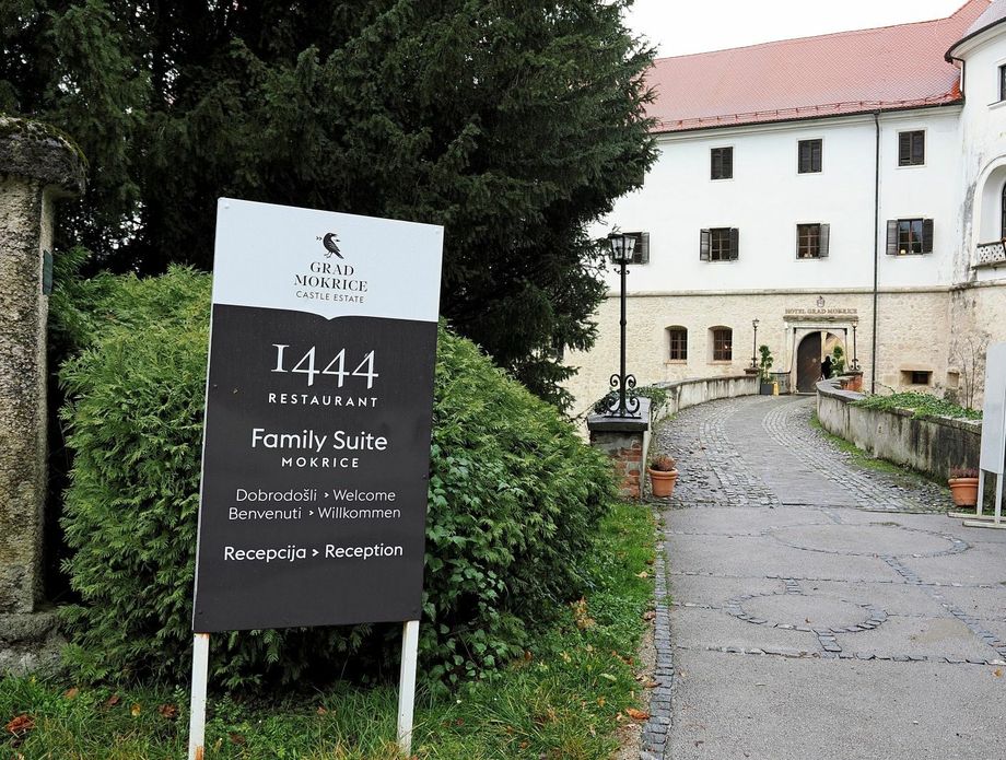 Restoran 1444, Mokrice