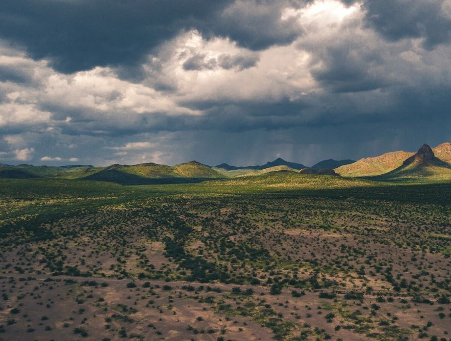 Zona tišine u rezervatu biosfere Mapimi u Meksiku