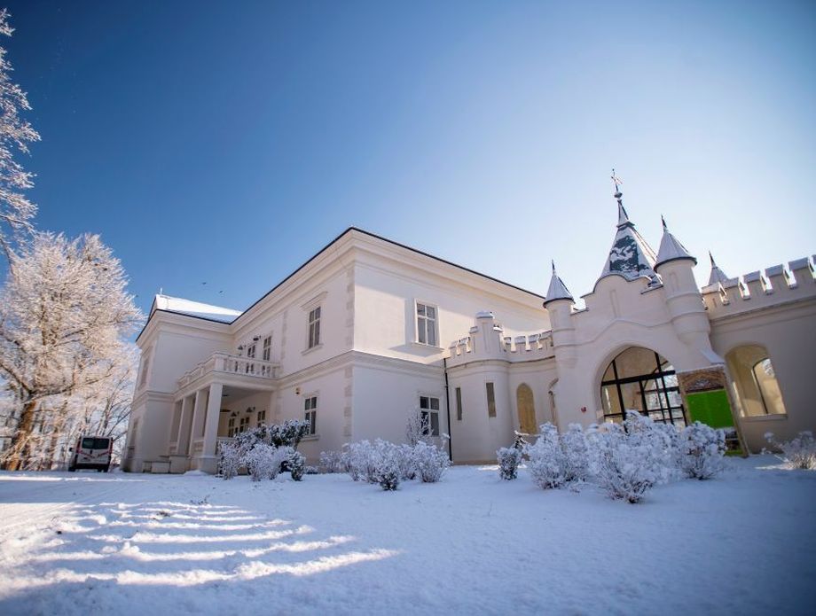 Dvorac Janković, Suhopoljle