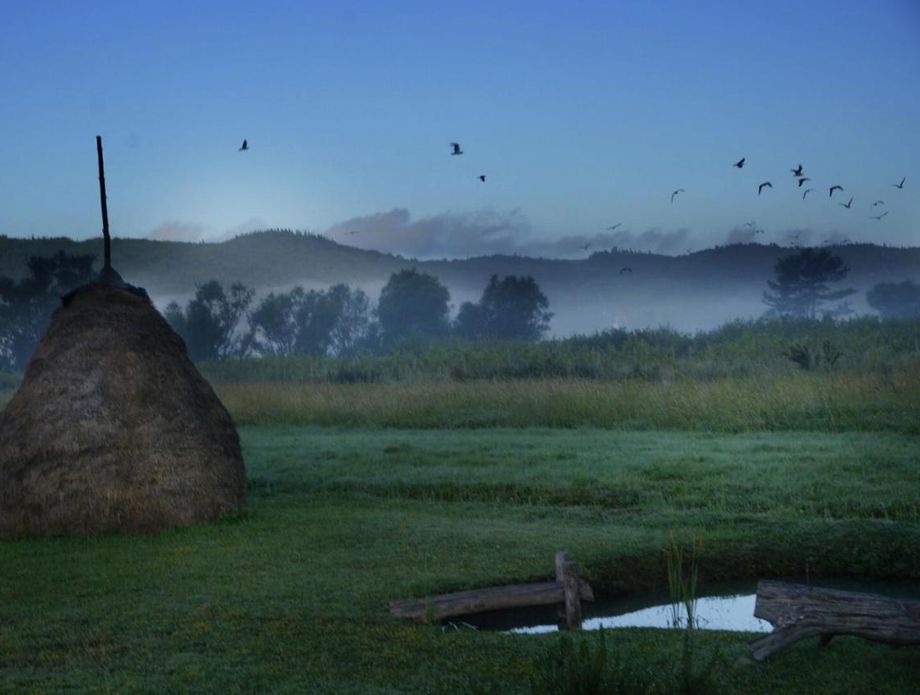 Vineyard Eco Cottage Gruda - 31